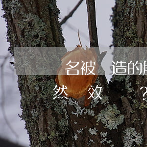 簽名被偽造的股東會(huì)決議是否必然無效？